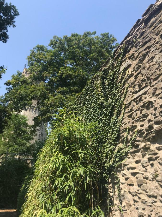 Back To School Andernach Exterior foto
